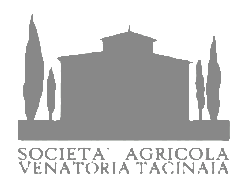 Tacinaia